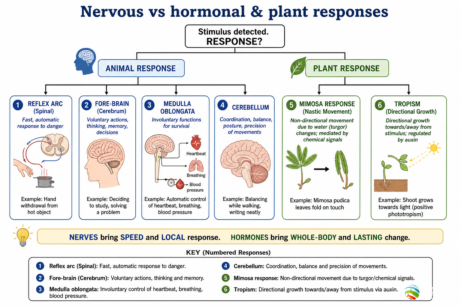 Response decision map
