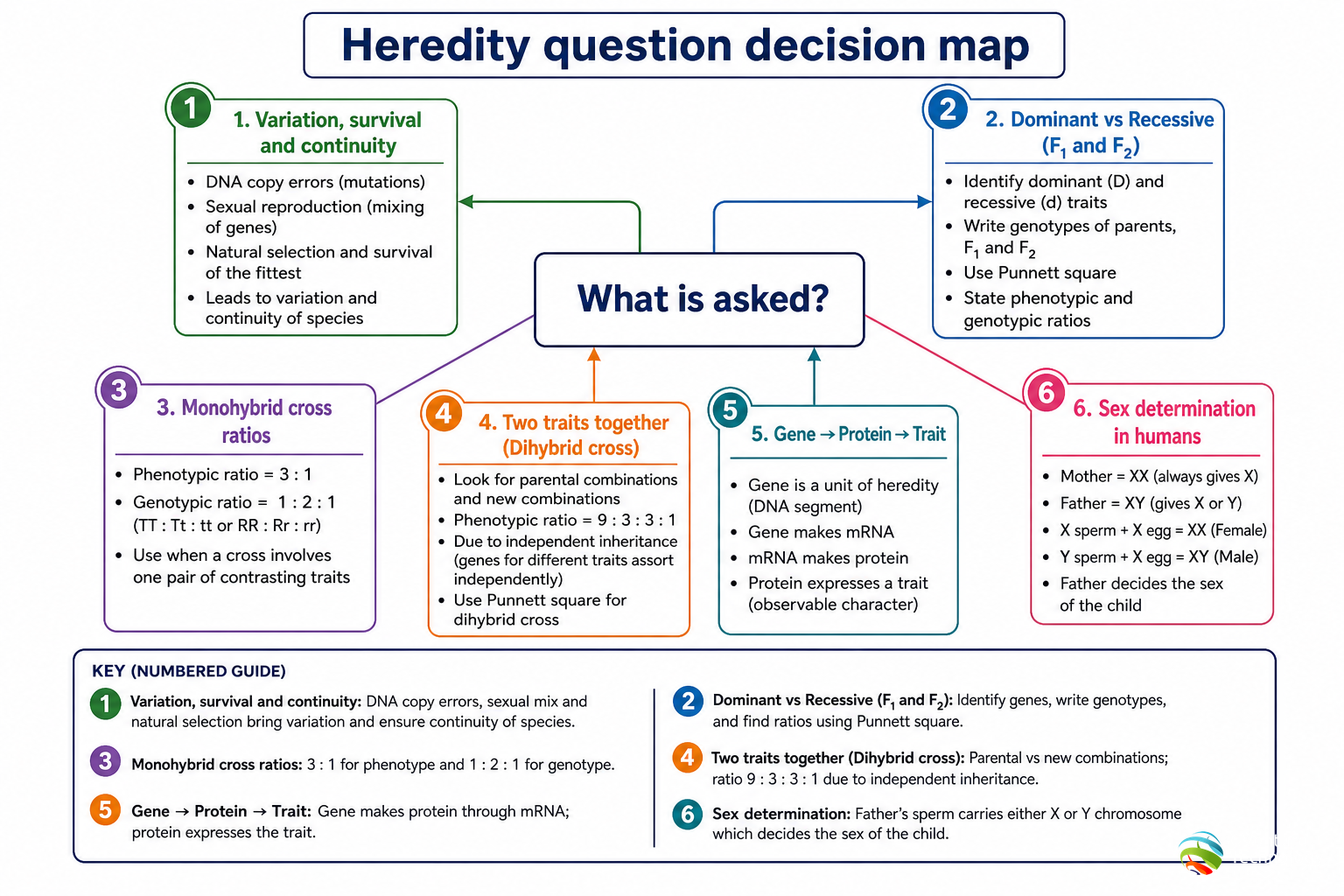 Heredity decision map