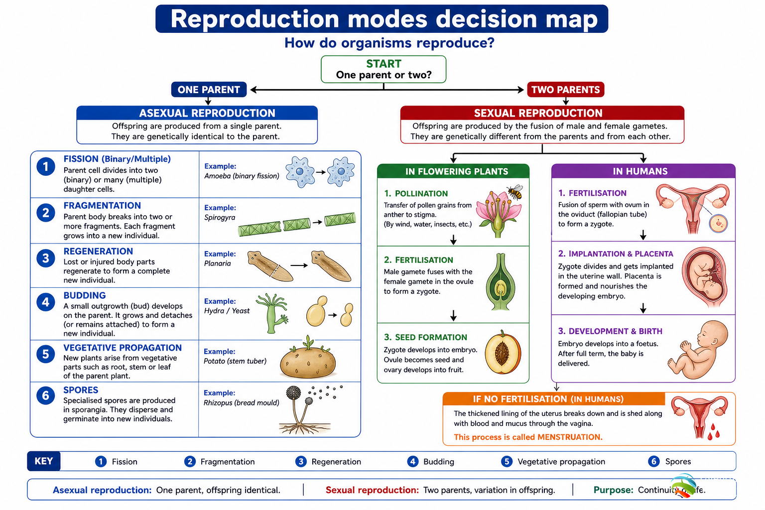 Reproduction modes map